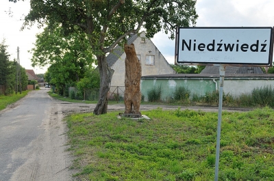 Niedźwiedź2