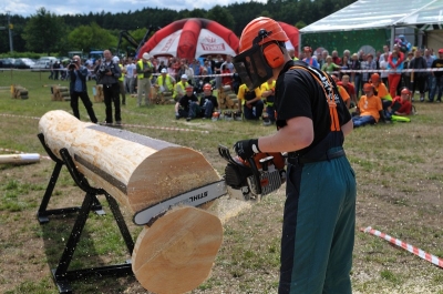 Złożona przerzynka kłód2