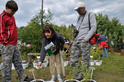 Konkurs rozpoznawania drzewek