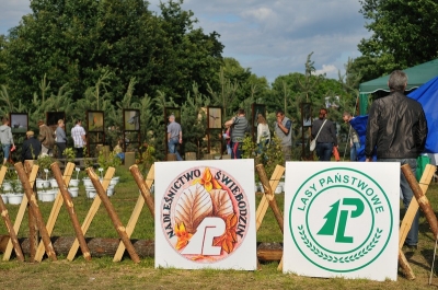 Nadleśnictwo Świebodzin