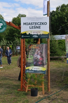 Miasteczko Leśne